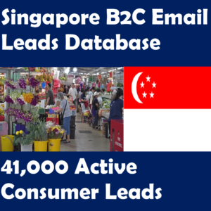 Singapore B2C Email Leads Database – 41,000 Active Consumer Leads