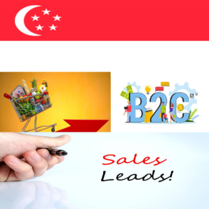 Singapore Consumer Email List – 731,000 Targeted B2C Leads
