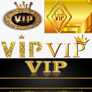 VIP Email List Database – 151,000 Premium Leads